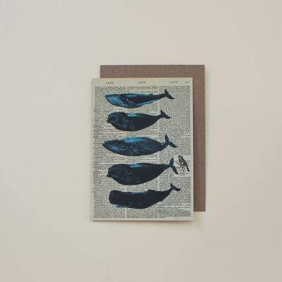 Biglietto con balene - Biglietto artistico con dizionario delle balene - WAC20519