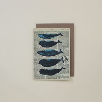 Carte avec des baleines - Carte d'art du dictionnaire des baleines - WAC20519 1