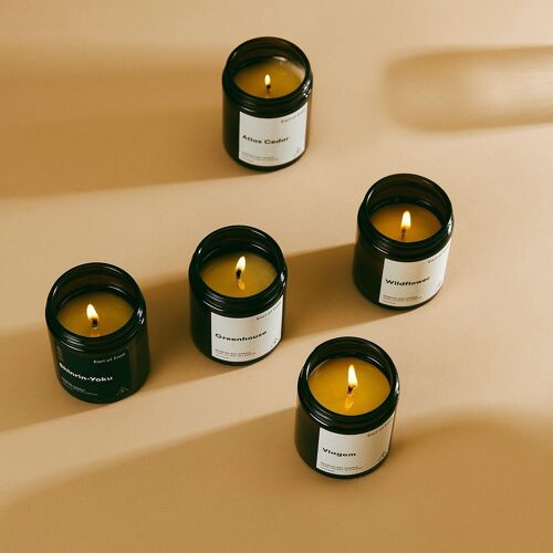 170ml Candle Full Range Bundle