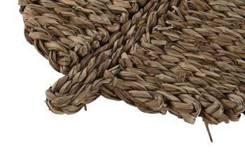 HERBE INDIVIDUELLE 50X35X1 FEUILLE NATURELLE PC211075 2