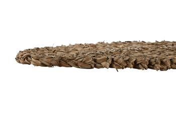 HERBE INDIVIDUELLE 50X35X1 FEUILLE NATURELLE PC211075 3