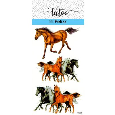 Temporary tattoos FH220