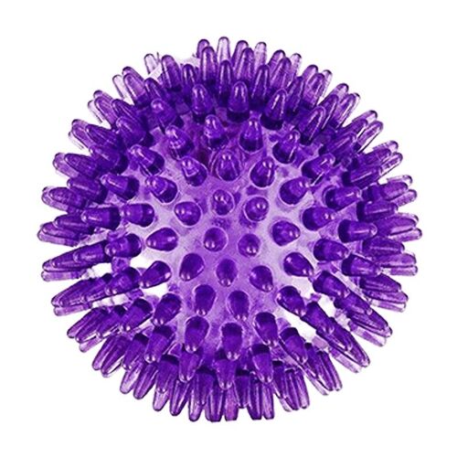 Rosewood - Jolly Doggy Catch & Play Spiky Ball - Purple