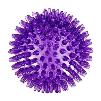 Rosewood - Jolly Doggy Catch & Play Spiky Ball - Violet 1