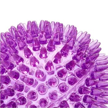 Rosewood - Jolly Doggy Catch & Play Spiky Ball - Violet 2