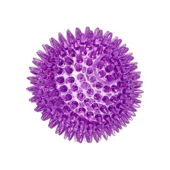 Rosewood Jolly Doggy Catch and Play Spikey Balle en caoutchouc pour chiens Violet 2