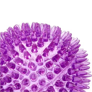 Rosewood Jolly Doggy Catch and Play Spikey Balle en caoutchouc pour chiens Violet 6