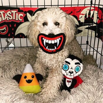 WufWuf Count Dogcula, jouet pour chien Dracula froissé et grinçant 4