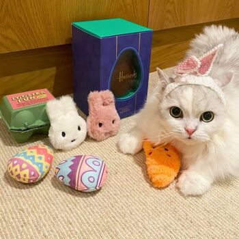 MyMeow Eggciting Eggs, jouet en peluche pour chat 4