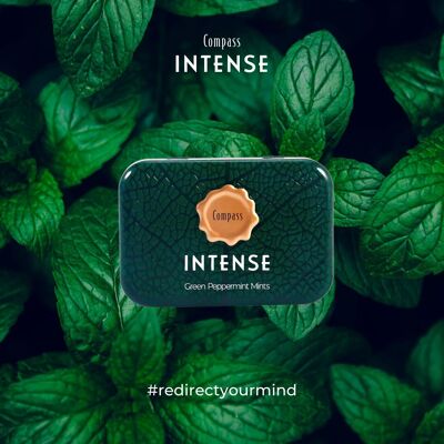 Breath Freshener Pastilles – Compass Intense – Green 20g – Sugar Free