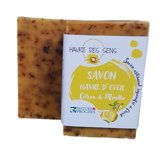 SAPONE ESTRATTO AL LIMONE E MENTA