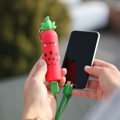 Powerbank Strawberry - Tipo C e USB-A