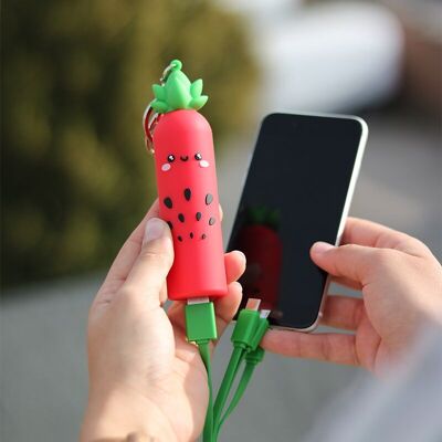 Strawberry Powerbank - Type-C and USB-A