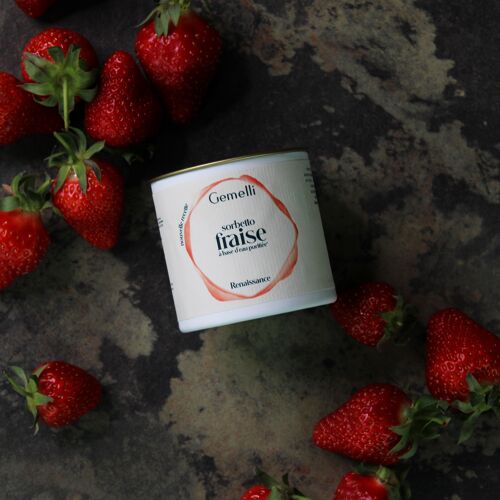 Sorbet artisanal fraise - 12 pots 100ml