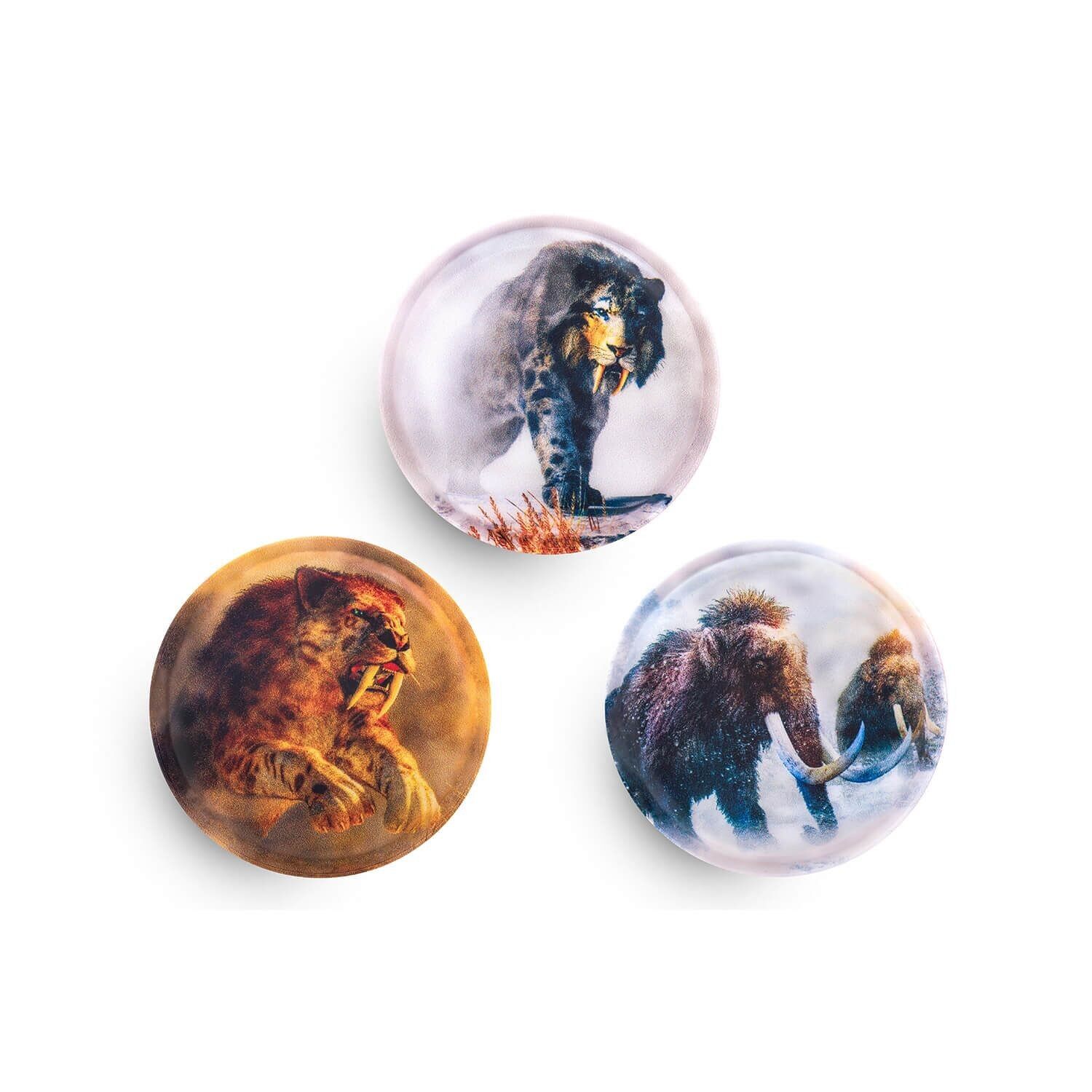 Set di toppe dell'età della pietra