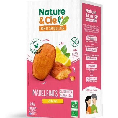 Bio- und glutenfreie Zitronen-Madeleines