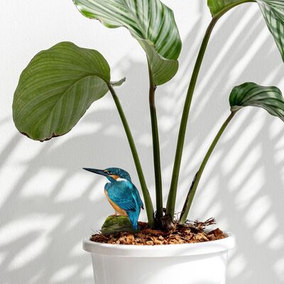 Plant stake kingfisher - plant decoration