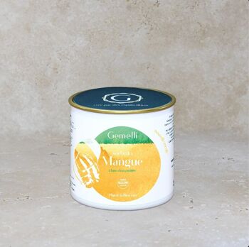 Sorbet artisanal Mangue sans sucre- 12 pots 100ml 2