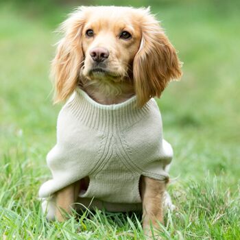 Pull pour chien en tricot - Beige 2