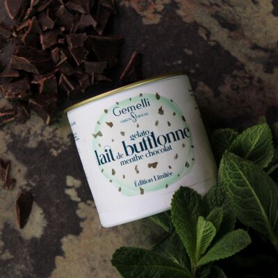 Glace artisanale - lait de bufflonne  chocolat menthe - 12 pots 100ml