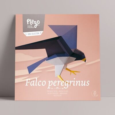 FALCO PEREGRINUS Kit figura di carta
