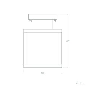 Plafonnier d'extérieur Ledkia en acier inoxydable Theia Noir 2