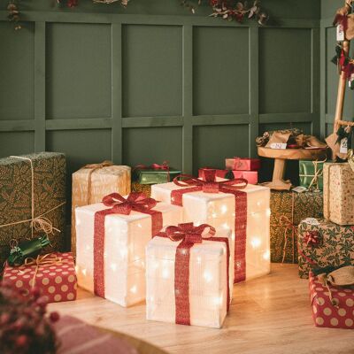 Ledkia Pack de 3 Coffrets Cadeaux de Noël LED avec Pile Noelle Blanche - Rouge