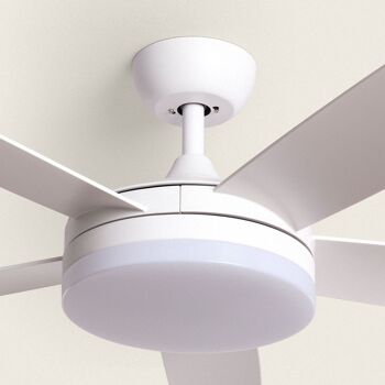 TechBrey Patroclo Blanc Ventilateur de Plafond Silencieux Moteur DC 106 cm avec Lumière, Contrôleur Mural + Télécommande, Wifi : Non 3