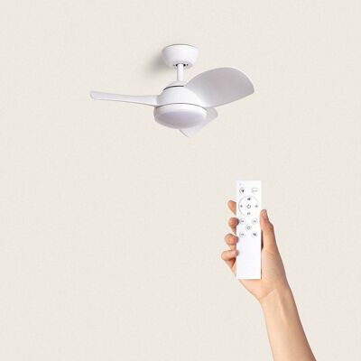 TechBrey Silent Ceiling Fan Pores 76cm White DC Motor, Blades: White, With Light, Remote Control, Wifi: No