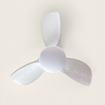 TechBrey Ventilateur de Plafond Silencieux Pores 76cm Moteur CC Bois Blanc, Pales: Bois Blanc, Avec Lumière, Télécommande, Wifi: Non 2