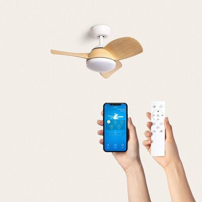 TechBrey Silent Ceiling Fan Pores 76cm White DC Motor, Blades: Wood, With Light, Wall Controller + Remote, Wifi: Yes