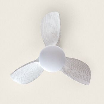 TechBrey Ventilateur de plafond silencieux Pores 76 cm Moteur CC Bois blanc, Pales : Bois blanc, Avec lumière, Télécommande, Wifi : Oui 2