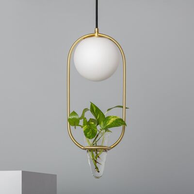 Ledkia Metal and Glass Pendant Lamp Moonlight Puncak Golden