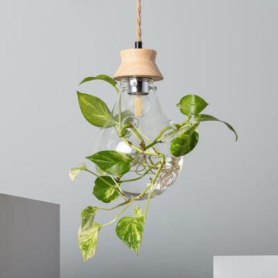 Lampe à Suspension Ledkia Bois et Cristal Kathu Bumbieris Naturel