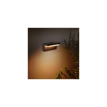 Applique murale d'extérieur LED Ledkia couleur blanche 13.5 W Hue Nyro RGBW 4