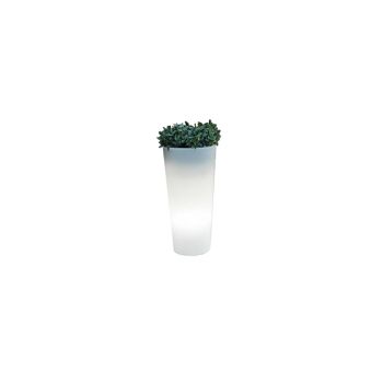 Ledkia Ficus 60 Jardinière Froid Extérieur Câble Blanc Froid 6500K 1