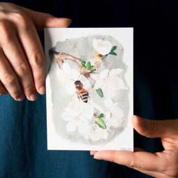 Abeille sur fleur de cerisier (carte postale) 2