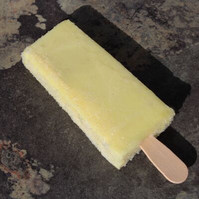 Artisanal vanilla caramel stick - 10 x 100ml