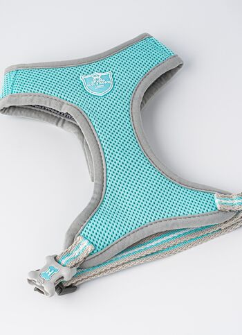 Harnais pour chien en filet - Aqua 1