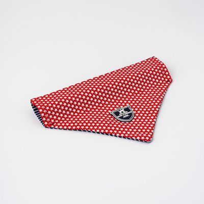 Fabric Dog Bandana - Red Star
