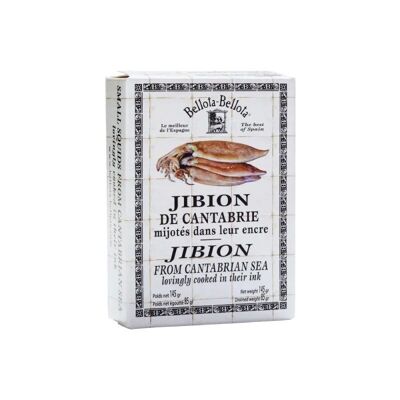 Cantabrian squid “Jibion”