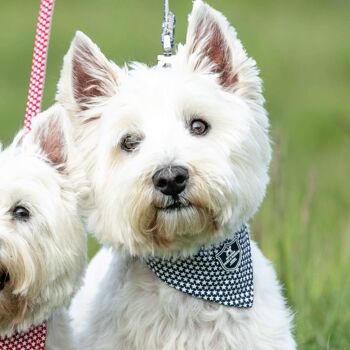 Bandana pour chien en tissu - Étoile marine 5