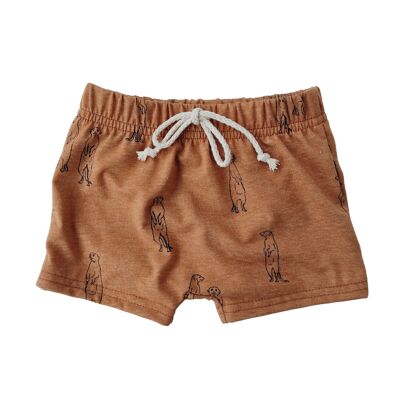 Short Orion Chiens de prairie