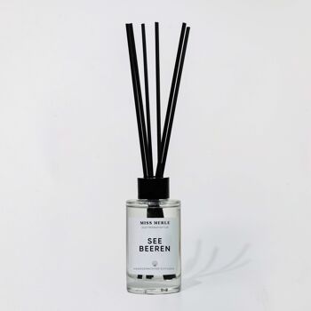 Sticks parfumés BAIES DE MER : parfum de baies 1