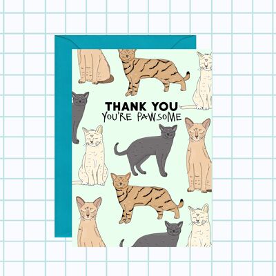 Tarjeta de agradecimiento gatos