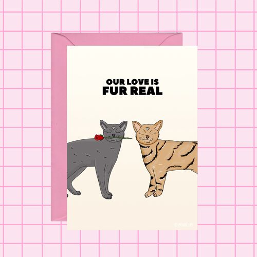 Cats Love Card