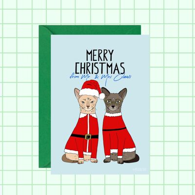 Cartolina di Natale con gatto Babbo Natale