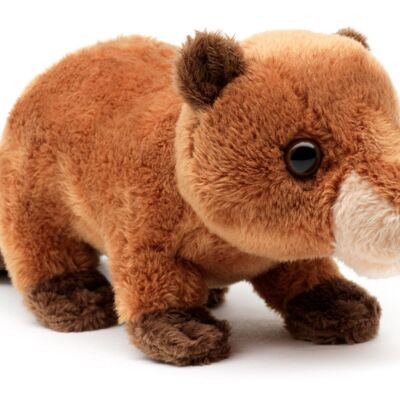 Peluche Castor - 20 cm (longueur) - Mots clés : animal de la forêt, animal aquatique, peluche, peluche, peluche, peluche