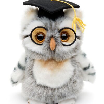 Owl (grey-white) with doctoral hat and glasses - 18 cm (height) - Keywords: graduation, high school diploma, bachelor, master's degree, journeyman's examination, master's examination, doctor, doctoral thesis, habilitation, celebration bird, plush, plush toy, stuffed toy, cuddly toy