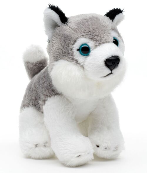 Husky Plushie, sitzend - 13 cm (Länge) - Keywords: Hund, Haustier, Plüsch, Plüschtier, Stofftier, Kuscheltier